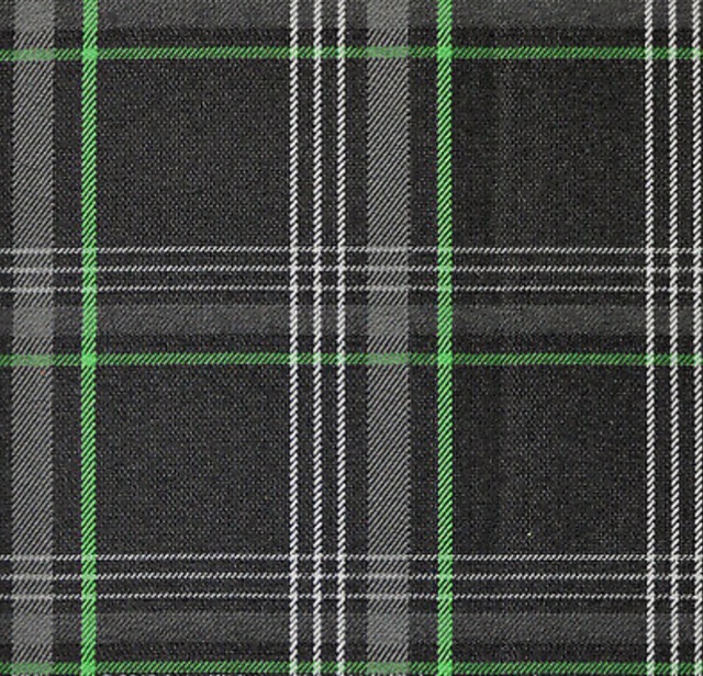 Green VW fabric swatch